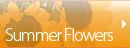 Summer Flowers